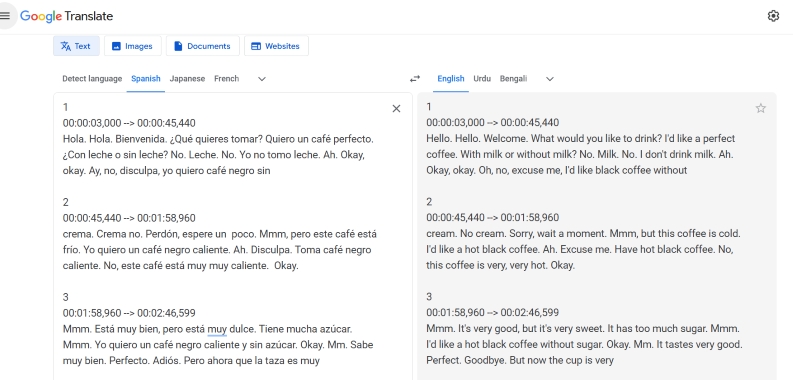paste content into Google Translate