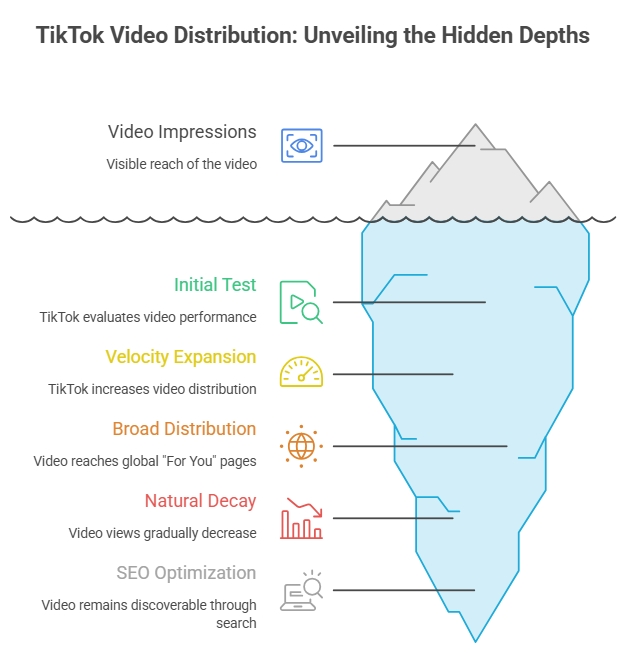 tiktok algorithm ranking signals