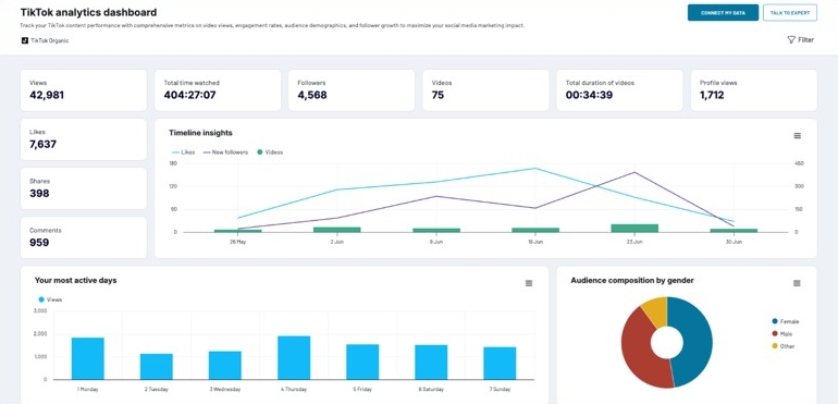tiktok analytics