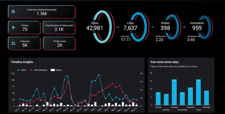 Tiktok set goals kpi what looks good